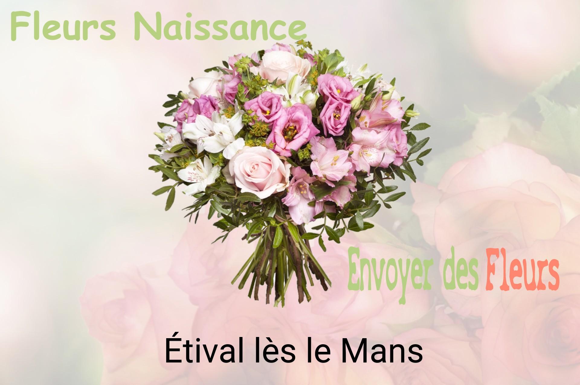 Bouquet de fleurs de naissance livré à Étival-lès-le-Mans